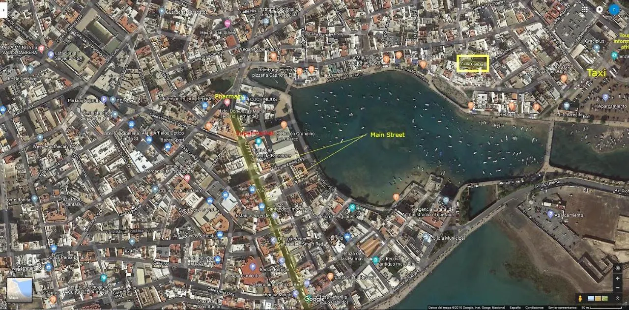 Estudio del Pescado en el Charco Arrecife  España
